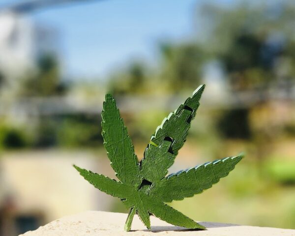 Just leaf 🍁